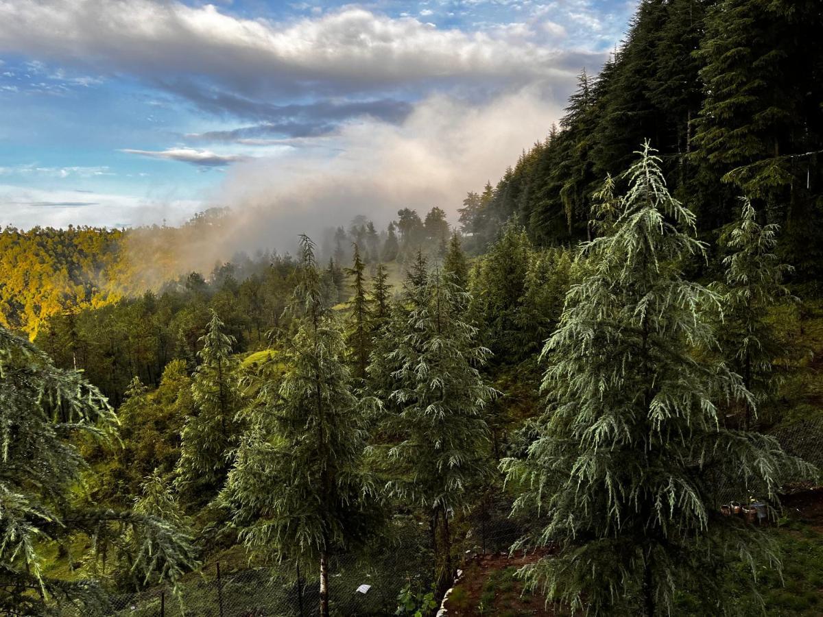The Roots Homestay Almora Exteriör bild