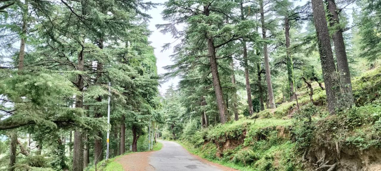 The Roots Homestay Almora Exteriör bild